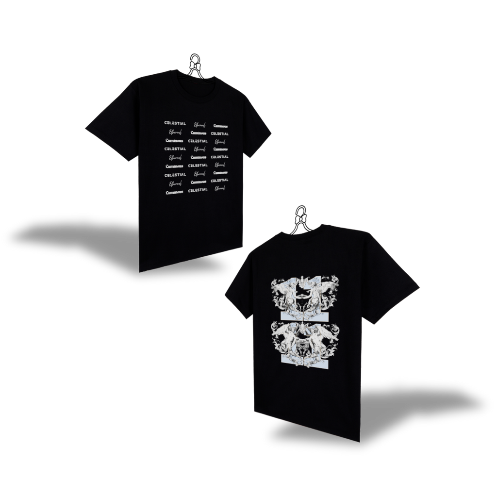 BLUE LUCKY ANGEL (LEVELED TEXT)